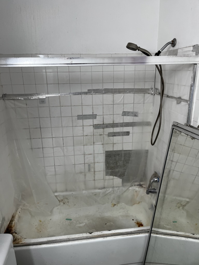 Tub to Shower Renovation Before